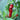 Penis Pepper Samen #107